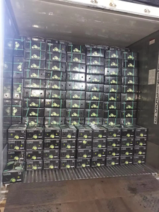 Limón Verde Fresco Natural Sin Semillas de Calidad Premium, Tamaños S, M, L, Estándares Internacionales, Cartones de 6.5kg, 7kg, 9kg / ANNA DO - Product Image 6