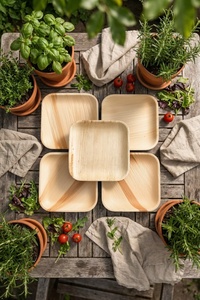 New Eco-friendly Palm Leaf 10-Inch Square Dinnerware <b>Plates</b> for Catering Buffet Banquet Party Wedding Decor Table Set Freezer - Product Image 1