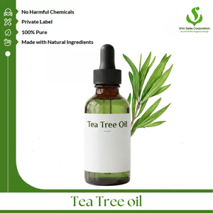 Fresh Tea Tree Essential Oil Exporter Providing Premium Bulk Packaging Options for International Cosmetic Manufacturers Personal - Product Image 1