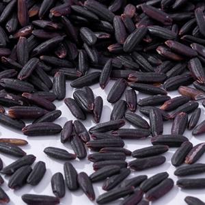 ข้าวดำเมล็ดยาว ปลอดจีเอ็มโอ ปราศจากสารกำจัดศัตรูพืช มีคุณค่าทางโภชนาการสูง - ข้าวต้านริ้วรอย ราคาดี - เจคอบ ฟาม - Product Image 1