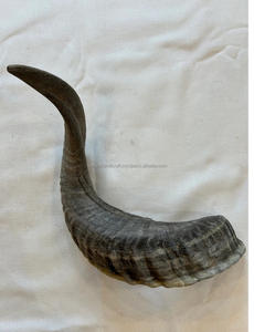 Artesanía de Cuerno de Oveja Natural Tallada de SANIYA HANDICRAFT, Artesanía Folclórica, Tamaño Pequeño, Alta Calidad - Product Image 4