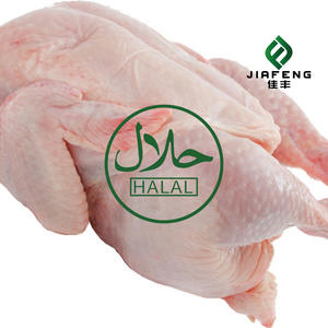 OFERTA <span class=keywords><strong>Pollo</strong></span> Entero Halal Congelado <span class=keywords><strong>Sin</strong></span> <span class=keywords><strong>Cabeza</strong></span>, Cuello, Hígado ni Patas - Product Image 4