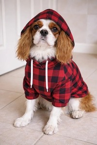 ZARSAH EXPORTS Red Black Solid Cotton Flannel Dog Hoodie Classic Leisure Winter Wear for Dogs Comfortable <b>Pet</b> <b>Clothes</b> - Product Image 2