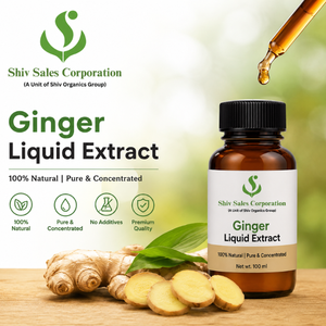 Extrait liquide de gingembre de haute qualité pour l'approvisionnement industriel, idéal pour la transformation alimentaire, la production de boissons et l'industrie des arômes - Product Image 2