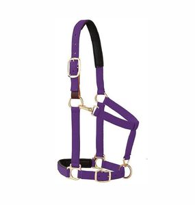 ODM Weaver Equine Breakaway Horse Halter, Comfort <b>Foam</b> <b>Padding</b>, Adjustable Chin & Throat Snap Halters for Horses, Equine - Product Image 1