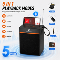 Altavoz Portátil LN-1036MIC con Entrada para Micrófono, Máquina de Karaoke de 30W, Soporte para Teléfono, Caja de Sonido Inalámbrica, Venta al Por Mayor