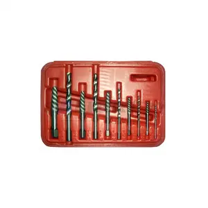 Taiwan Kaliber 10Pc Spiraal Fluit Schroef Extractor En Boor Set