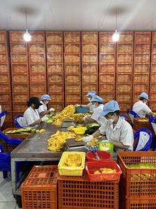 Tranches de mangue séchées premium, douces, collation de fruits tropicaux, export en vrac du Vietnam - Product Image 4