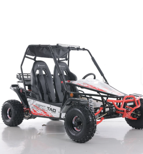 Go Kart Todoterreno Tao Motor de 200cc con Arranque Eléctrico - Product Image 3