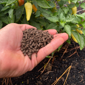 Engrais organique en poudre, nourriture naturelle pour plantes, stimule la fertilité du sol, engrais bio à base de compost pour l'agriculture et le jardinage, export - Product Image 3
