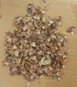 Peau de haricot noir Desi séchée 100% naturelle pour l'alimentation des bovins et du bétail, paquet de 50 kg - Product Image 1