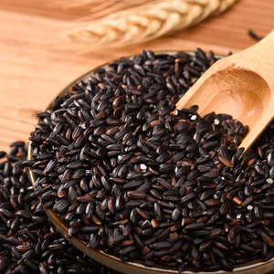 Riz noir de haute qualité en gros |   Riz long grain, biologique, non-OGM, idéal pour la cuisson, la pâtisserie et la préparation de repas sains à bas prix - Product Image 3