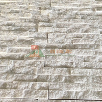 Revêtement mural en marbre naturel de carrière propre, écologique, durable, panneau de mosaïque en pierre décorative, mur d'accentuation moderne pour hôtels et villas