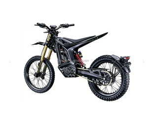 Nouvelle Moto Électrique Tout-Terrain Arctic Leopard XE PRO S L1E 2026 avec Homologation COC, 74V55Ah 74V 60AH, avec Fourches Noires/Dorées - Product Image 4