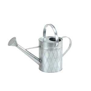 Arrosoir en acier galvanisé de qualité supérieure avec 2 poignées, pot à eau de jardin classique en métal pour l'intérieur et l'extérieur - Product Image 1