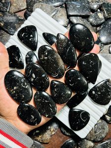 Cabochons de Jaspe Turritella 100% Naturels, Formes Mixtes, Pierres Semi-Précieuses en Gros, Pierres de Guérison Énergétique, Gemmes Libres pour Bijoux ASHU - Product Image 4