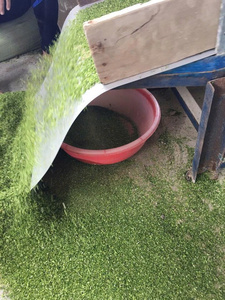 Premium Natural Green Seaweed <b>Powder</b> Fine <b>Texture</b> Rich Nutrient Source Wholesale Bulk Supply For International Food Industry Now - Product Image 6