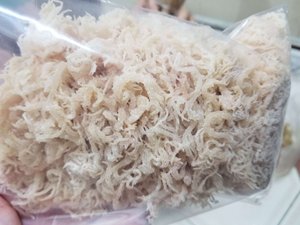 Proveedor de Musgo Marino de Vietnam – Musgo Marino a Granel de Alta Calidad a Precio Económico, Estándar 2026 para Exportación a la UE - Product Image 6