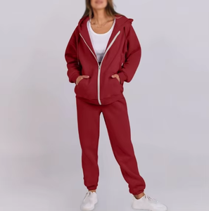 Ensemble de survêtement gris en coton pour femme, pantalon de survêtement long et sweat à capuche zippé, coupe décontractée, couleur unie, automne - Product Image 1