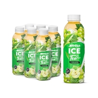 IJsthee drank 500ml PET fles Drinkthee OEM/ODM Fruitthee dranken Aangepaste Private Label Fabrikant Lage MOQ