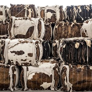 Piel de vaca natural seca para cuero premium. Piel de vaca seca seleccionada para su espesor uniforme y alta resistencia en pedidos al por mayor. - Product Image 6