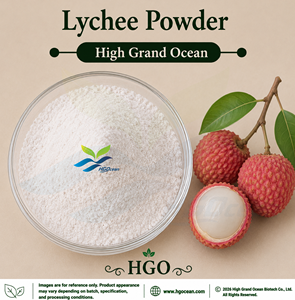 Approvisionnement direct usine HGO de poudre de litchi pure et naturelle (qualité alimentaire) – Poudre de fruit séchée par pulvérisation ou lyophilisée - Product Image 1