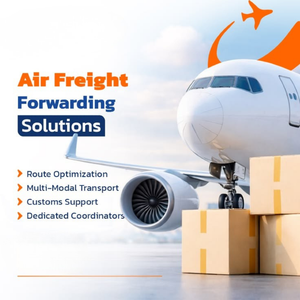Servicios Confiables de Importación y Exportación Global con Transporte Aéreo, Marítimo y Despacho de Aduanas - Product Image 1