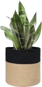 Panier de jardinage artisanal en jute, couvre-pots en corde tressée durable pour plantes succulentes, acceptation des commandes d'exportation et en gros - Product Image 6