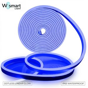 Tira <span class=keywords><strong>de</strong></span> Luz LED <span class=keywords><strong>de</strong></span> Neón <span class=keywords><strong>Flexible</strong></span> <span class=keywords><strong>de</strong></span> 12V CC, 5M, Impermeable, <span class=keywords><strong>de</strong></span> PVC <span class=keywords><strong>Flexible</strong></span> para Bricolaje, Iluminación Ambiental <span class=keywords><strong>de</strong></span> un Solo Color Regulable para Interiores y Exteriores - Product Image 2