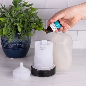 6-Piece <b>Essential</b> <b>Oil</b> <b>Set</b> 15mL Eucalyptus Lavender Lemongrass Sweet Orange Peppermint Tea Tree - Product Image 2