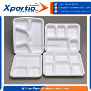 Assiettes carrées écologiques en bagasse de canne à sucre, résistantes à la chaleur, 6/8/10 pouces, pour la restauration et les établissements alimentaires éco-responsables - Product Image 4