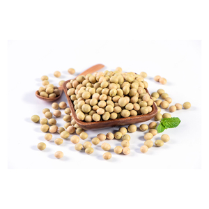 High Quality Non GMO Yellow <b>Soybeans</b> <b>Soybeans</b> /Soya Bean (8.0mm) with High Quality - Product Image 5