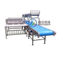 Équipement automatique de traitement de la viande Machine de découpe de viande de mouton et de porc 220V Nouvelles industries agricoles Presse Moteur Roulement à engrenages