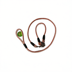 Pack mixte de laisse et harnais pour chien de 1,2 m CORREA DE PERRO - Product Image 2