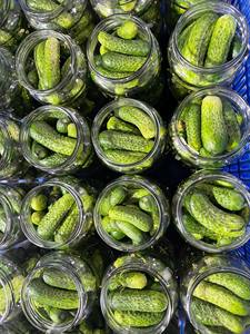 Whole <b>Pickled</b> Cucumber in Glass <b>Jar</b> 500ml 720ml Vietnam Origin Standard Size 3 to 6 cm for Retail and OEM // - Product Image 6