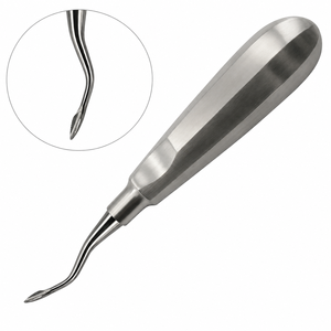 Elevador de Raíces Curvo Grande, Ergonómico, Manual, de Acero Inoxidable, Instrumento Dental para Extracción, Herramienta de Cirugía Oral - Product Image 4