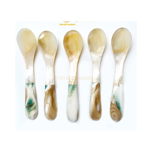 PRIX CONCURRENTIEL POUR CUILLÈRE À COQUILLE NATURELLE ET FOURCHETTE À GLACE COQUILLE ARTISANAT MÈRE DE PERLES COQUILLAGES COLORÉS PERSONNALISÉS - Product Image 4