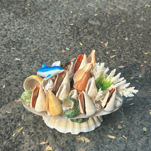 Vietnam Mix Seashell For Horticulture Themed Decor <b>Packs</b> And Professional Interior Designer Use By 99 Gold Data Co - Product Image 3