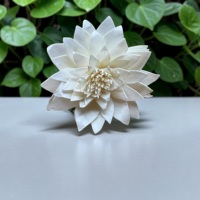 VADEE Kerajinan Tangan Bunga Dahlia Salju Berkelanjutan dari Kayu Sola Ukuran 8.5 CM Batang Serat Tanaman Sesbania Phra Buatan Thailand