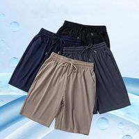 Shorts de sport décontractés pour homme, séchage rapide, respirants, élastiques, légers, pour la course et la plage, avec logo frontal – Essentiels d'été