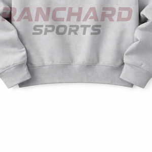 เสื้อสเวตเชิ้ต HBCU แบบสั่งทำสุดเท่ อบอุ่น สวมใส่สบาย ทนทาน เหมาะสำหรับวิทยาลัย มหาวิทยาลัย เสื้อผ้า HBCU คุณภาพสูง - Product Image 2