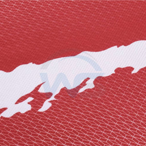 Uniforme de football respirant et à séchage rapide en polyester de qualité supérieure avec logo personnalisé pour l'entraînement et les matchs de football - Product Image 5