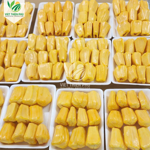 VIET THIEN PHU |   JACKFRUIT CONGELÉ DE QUALITÉ EXPORT PREMIUM DU VIETNAM - Product Image 4