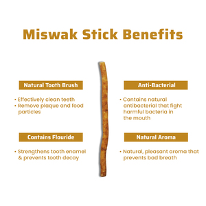 Cepillo de Dientes MISWAK al por Mayor, Cepillo de Madera Natural Orgánico para Higiene Bucal, para Niños y Adultos, Multiusos, Hecho en Pakistán - Product Image 3