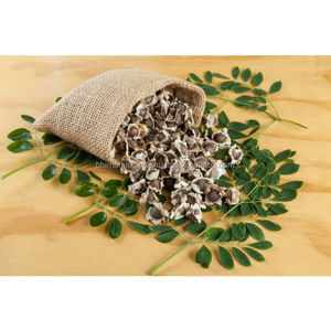 Graines de morinja à base de plantes naturelles certifiées et qualifiés, riches en protéines, excellent prix et expédition rapide, graines de morinja sans ailes - Product Image 5