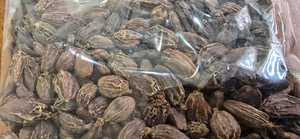 Cardamome noire séchée fumée de qualité export pour Biryani et mélanges d'épices – Production indienne Badi Elaichi - Product Image 4