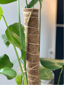 Lot de 4 poteaux extensibles en fibre de coco avec attaches pour plantes, kit de démarrage pour jardinage en intérieur, marque privée, fournitures de jardinage - Product Image 4