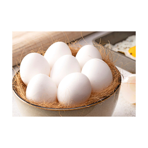 กล่องใส่ไข่ไก่สดแบบตั้งโต๊ะ ได้รับการรับรองมาตรฐาน ISO  ไข่ขาว ไข่แดง  ขนาดต่างๆ  หลากหลายชนิด  ต้นกำเนิด ประเภท  ไก่แช่แข็ง - Product Image 6