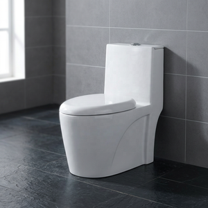 Modern Floor Mounted One Piece Siphonic <b>Ceramic</b> Toilet With Bidet For South American Residential Projects - Product Image 2