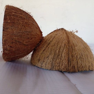 Coques de noix de coco brutes concassées du Tamil Nadu, durée de conservation de 3 ans, pour activation à la vapeur, grande surface de contact, charbon de qualité A, super sec - Product Image 3